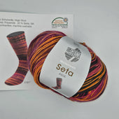 „Socktober bei Woll-Weber - Lana Grossa Meilenweit Seta Asia zum Aktionspreis