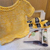 Set "Gelato Vintage" Kurzarmpulli gelb